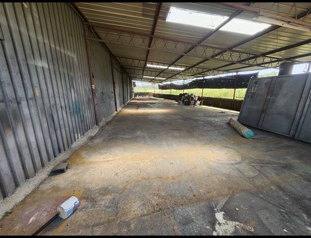 5,500M² WAREHOUSE FOR SALE IN WADEVILLE